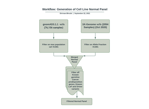 Normal panel generation workflow